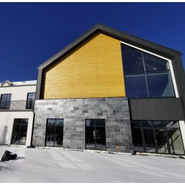 Łupek SILVER GREY płytka...